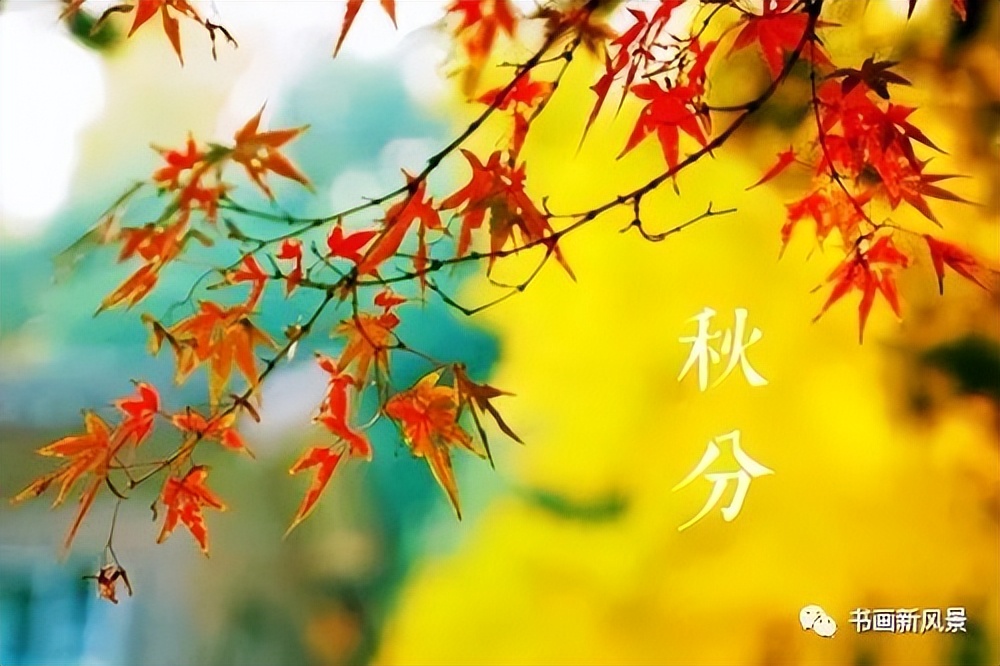 24节气秋分手抄报内容,24节气秋分闽南语解说