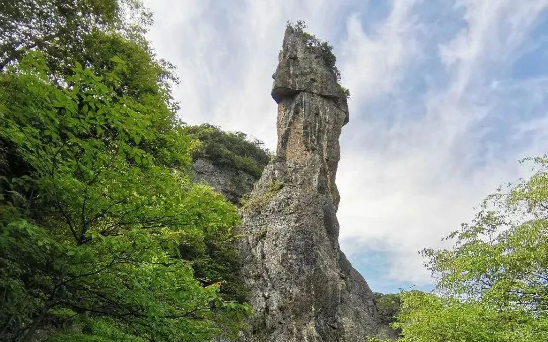 南川区金佛山旅游攻略,南川金佛山一日自驾游攻略