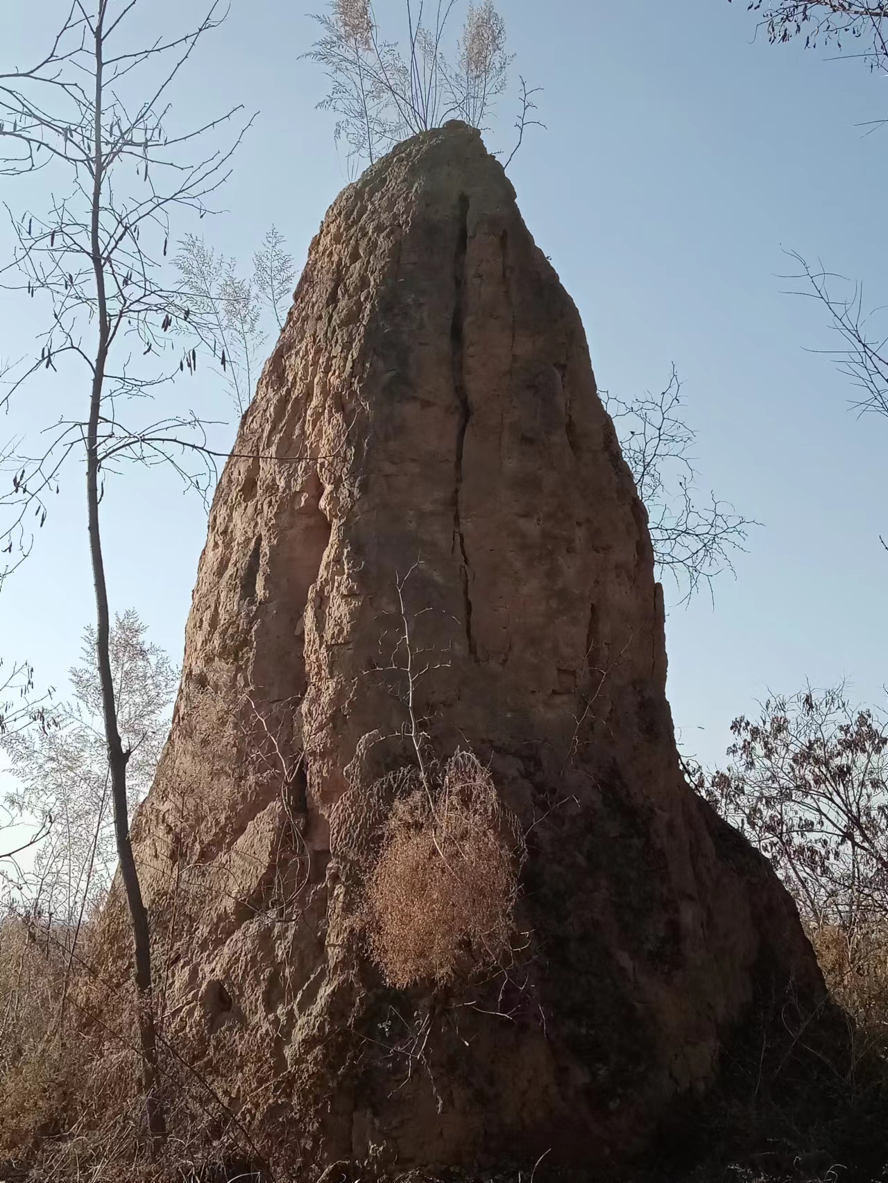 古树、土塔、苍柏、沟壑……