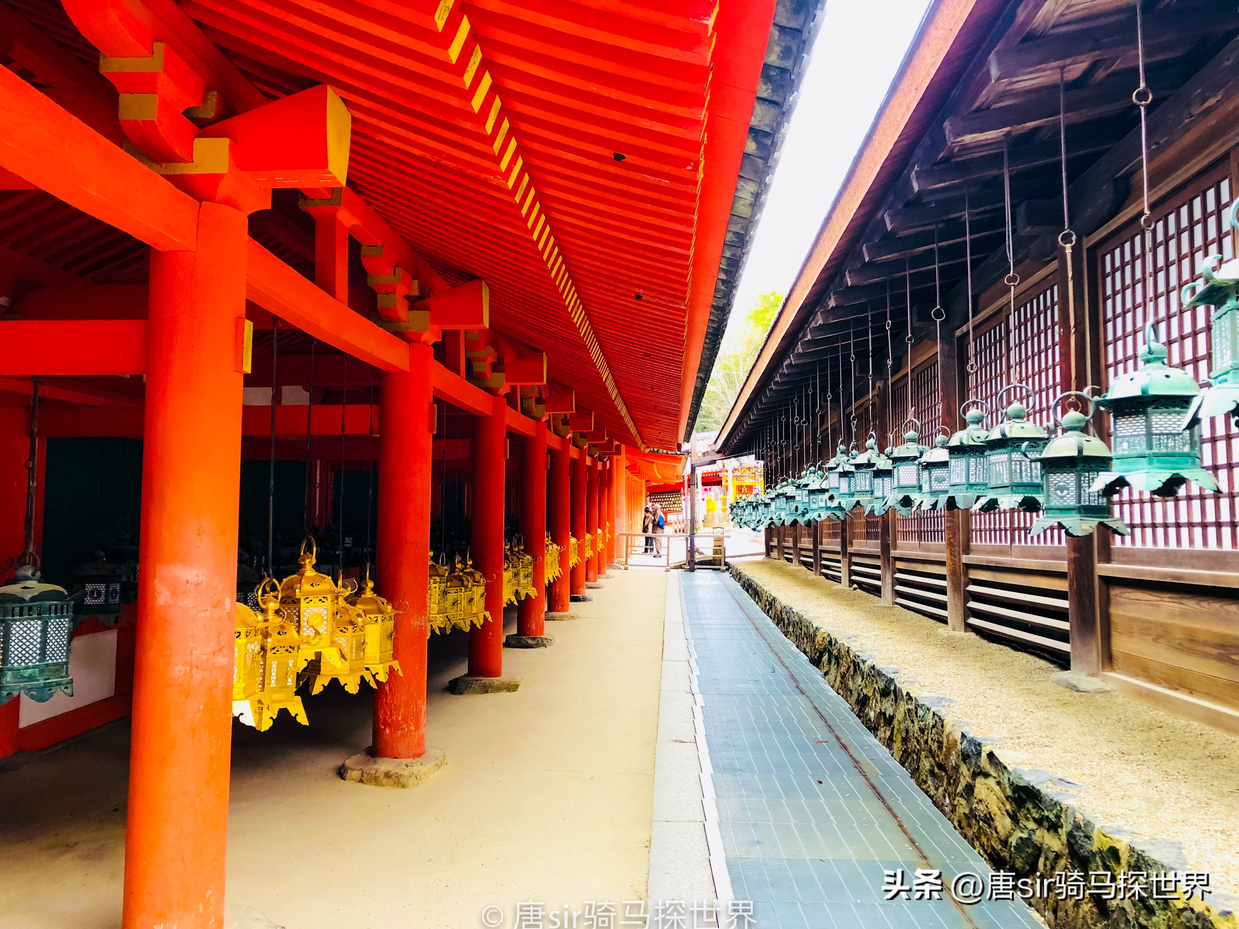 日本全面开放后，大量商家却高兴不起来，原因竟是因为中国游客？