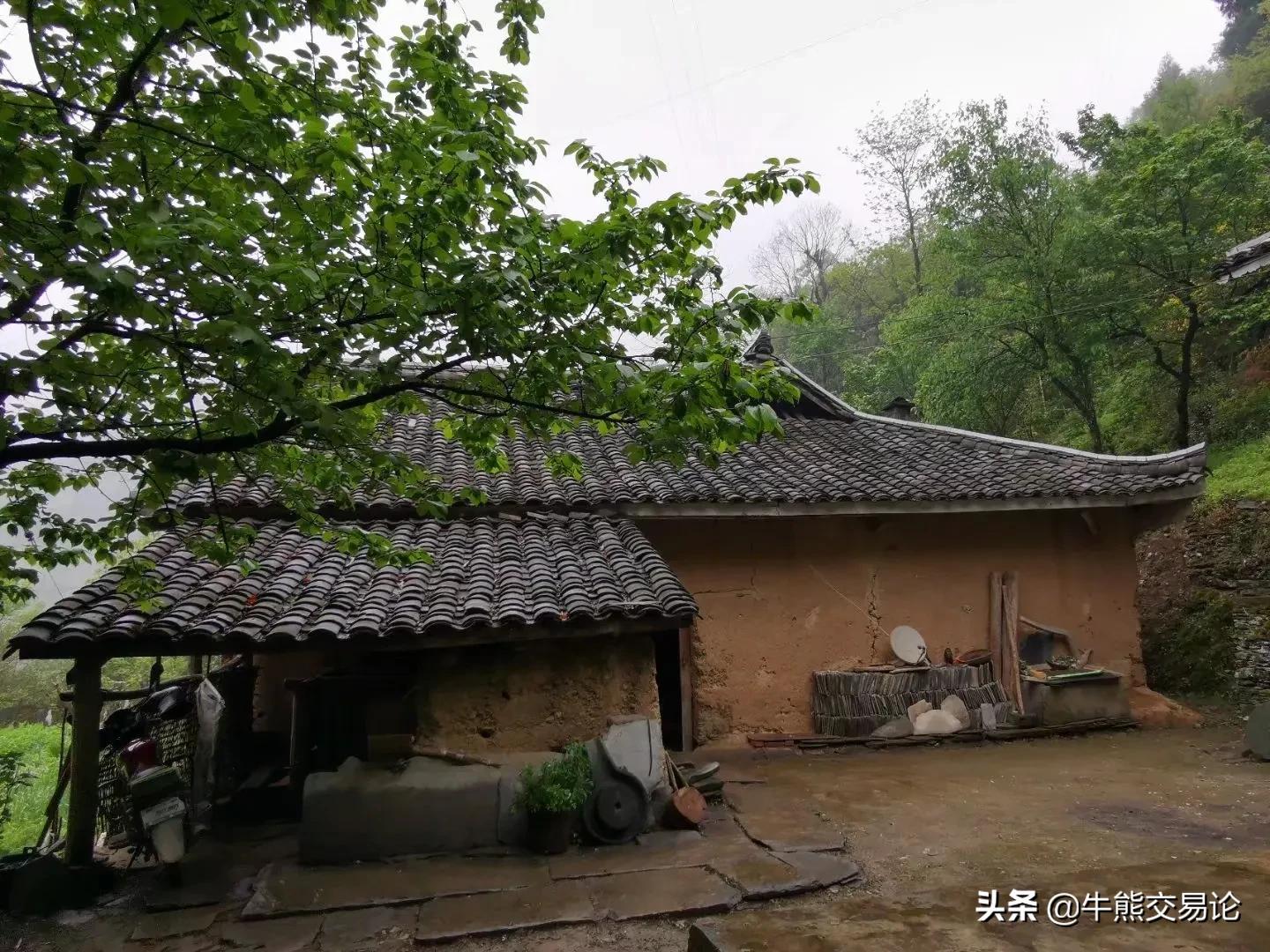 期货股票外汇大佬交易之路,期货大佬操作的股票