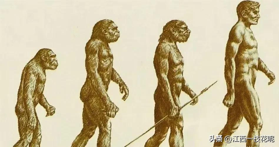 北京猿人头骨失踪之谜,北京人的头骨化石为何神秘消失