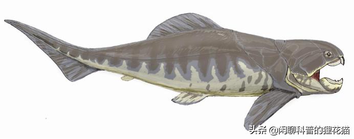 寒武纪三叶虫捕食者,十大最可怕的史前海洋巨兽