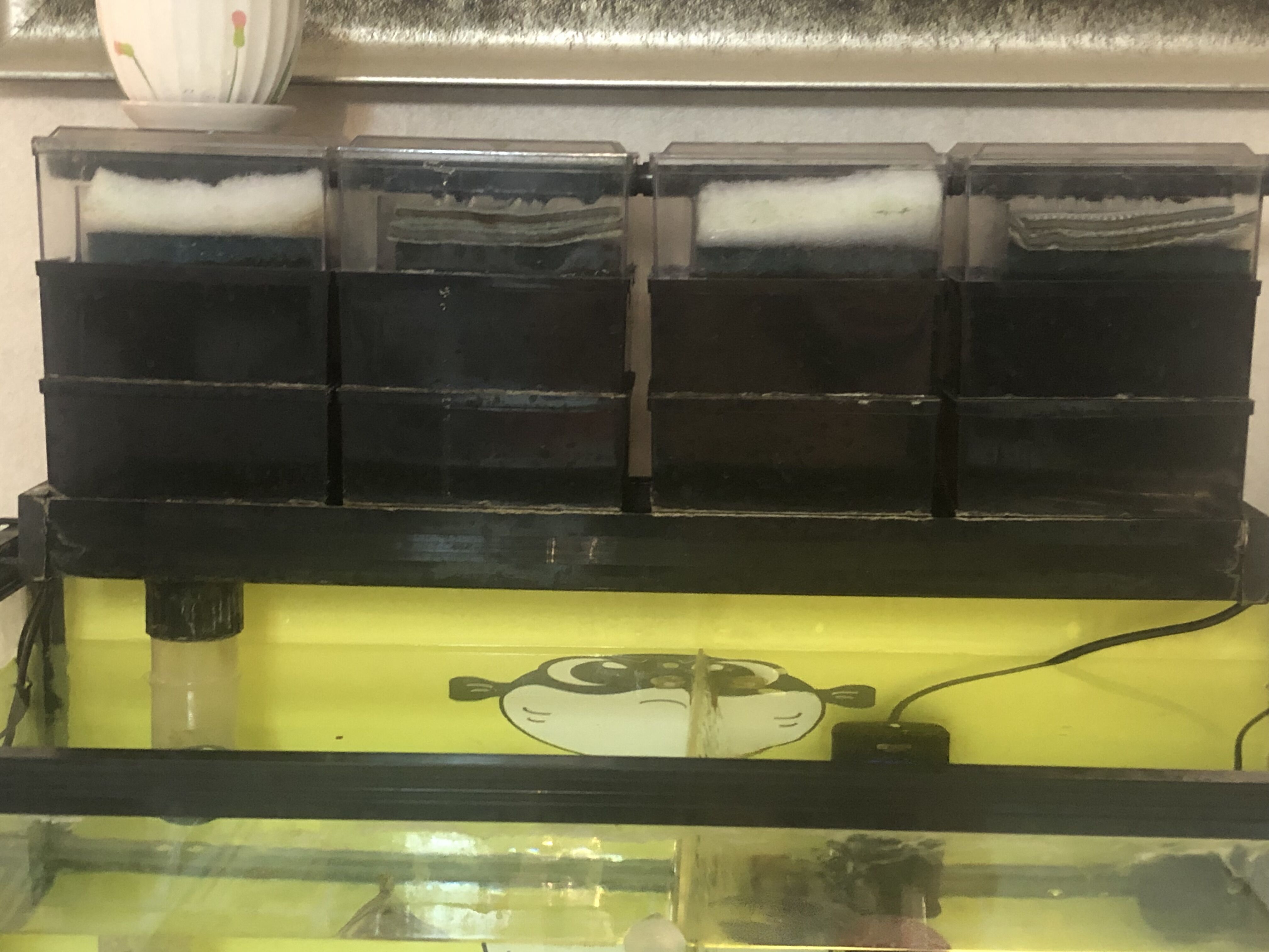 硝化细菌用量,硝化细菌的五大秘诀