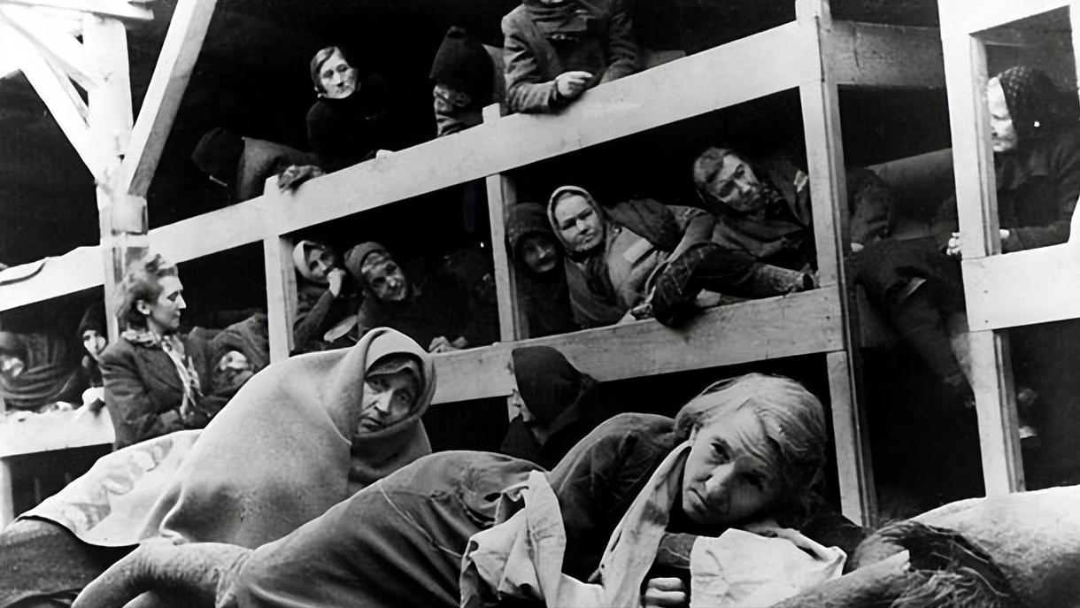 纳粹时期希特勒残害的对象都有谁？大*杀屠**的受害者只有犹太人吗？