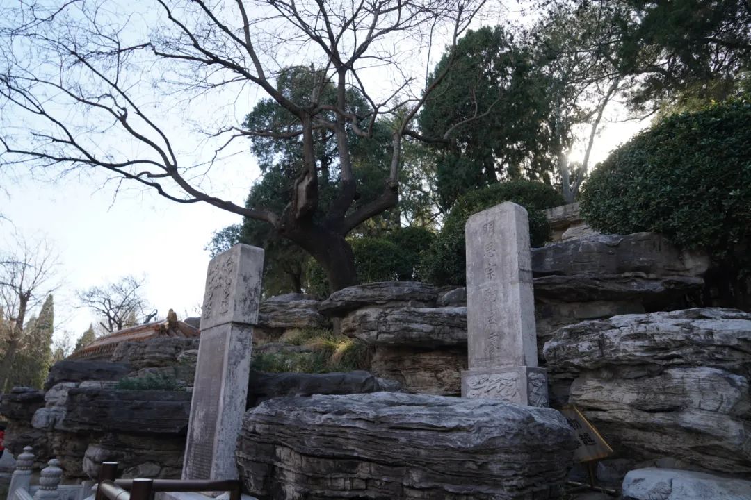 北京景山门票预约必玩景点,景山公园买2元门票怎么办