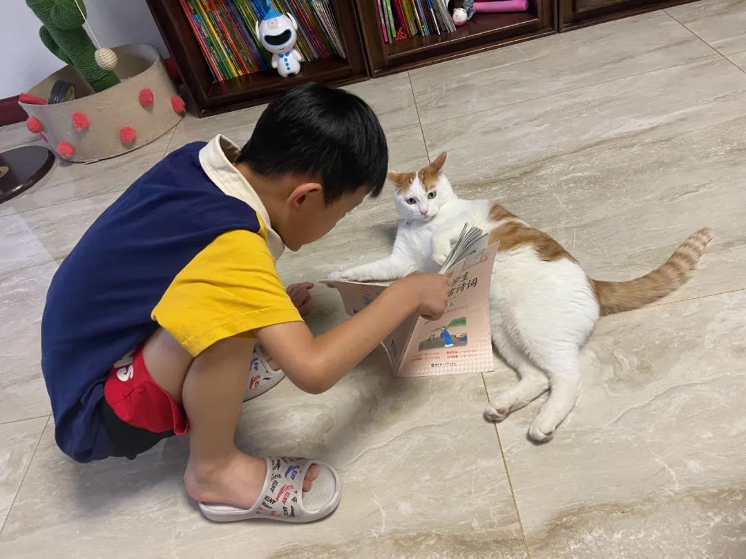 7月份人来人往街道,7月北京人山人海