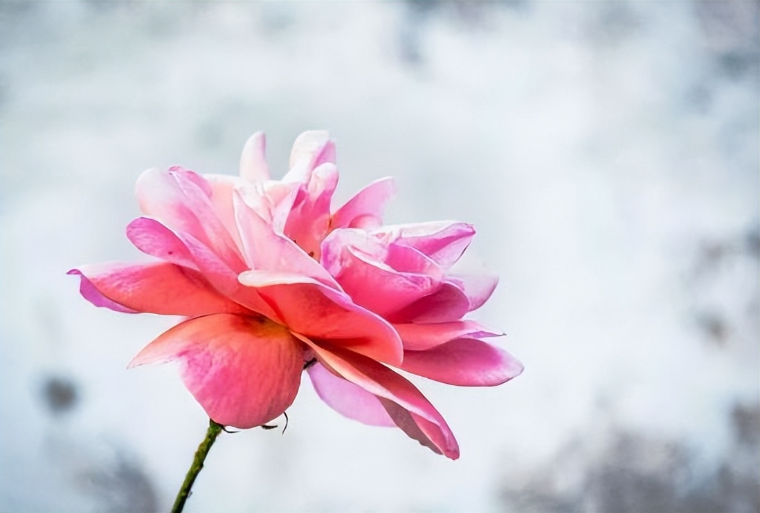 不要对男人太好就算你真的很爱他,不要对男人太好算你真的很爱他吗