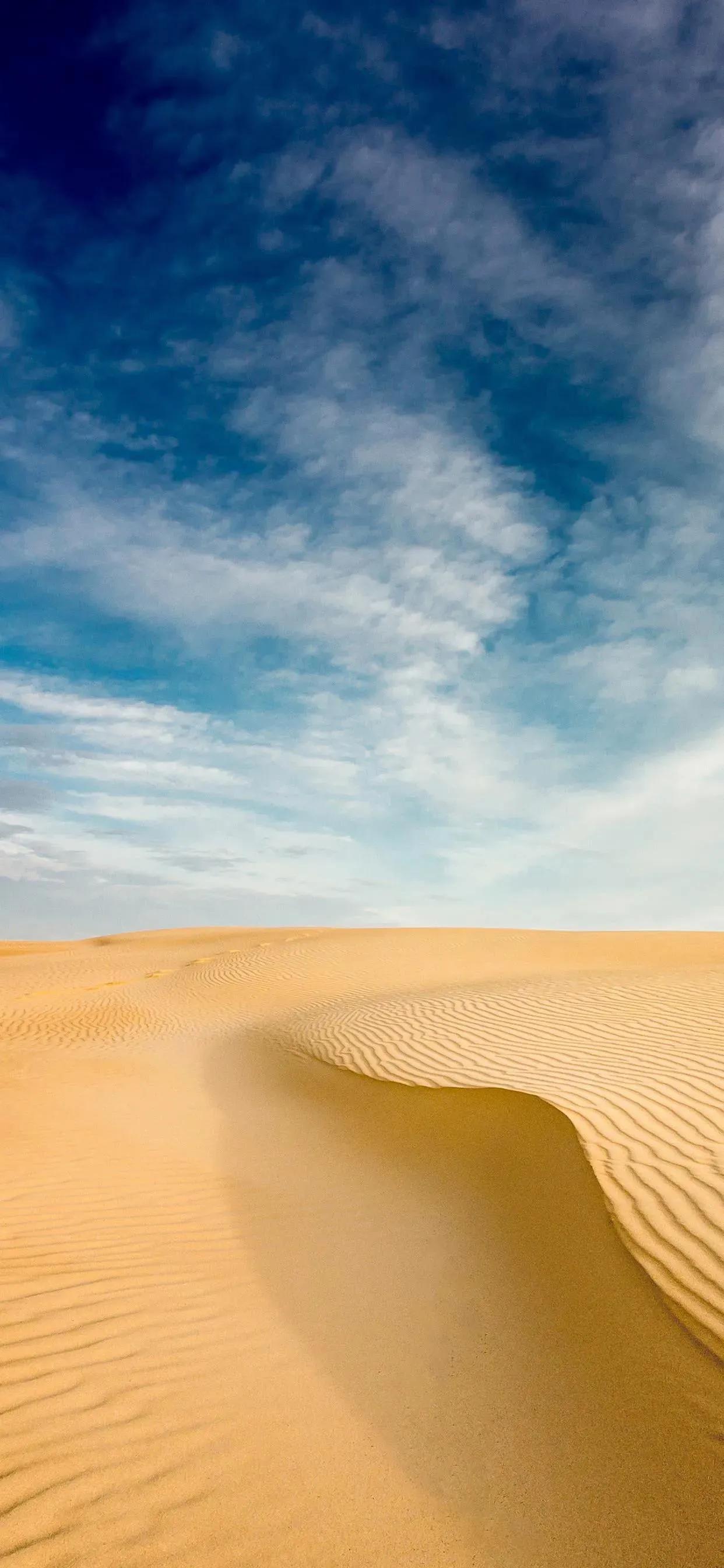 沙漠壁纸图片大全高清,苹果专用沙漠壁纸全屏