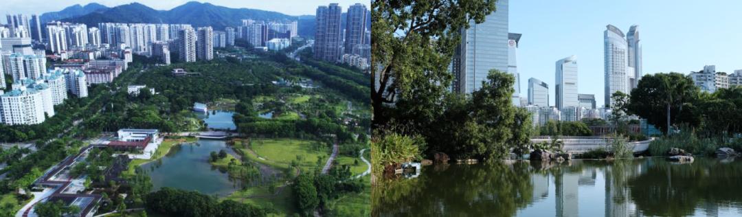 深圳香蜜公园参观指引,深圳光影艺术季攻略