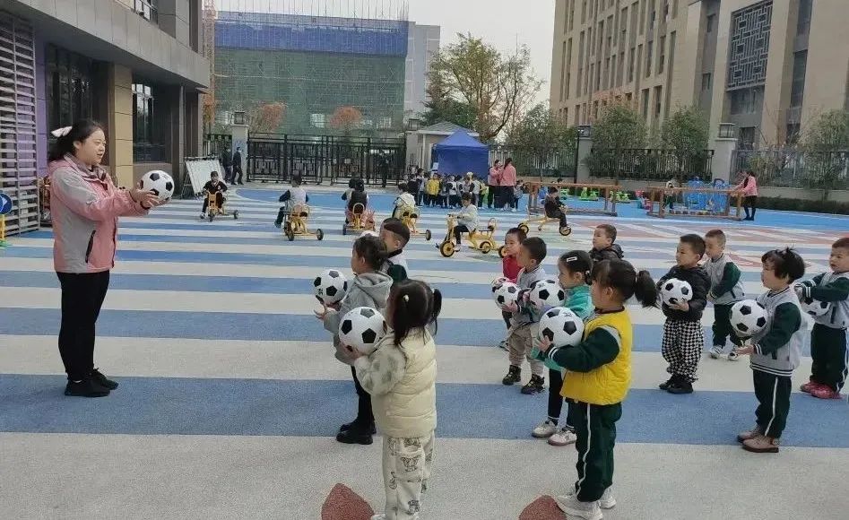 沣东新城公办幼儿园有哪些,沣东幼儿园排行榜