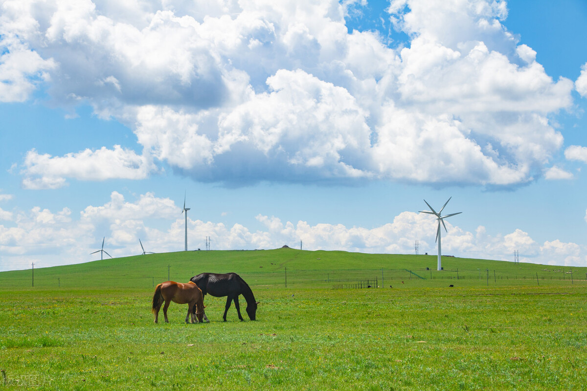内蒙古自由行三日游攻略,内蒙古6日游自由行旅游攻略