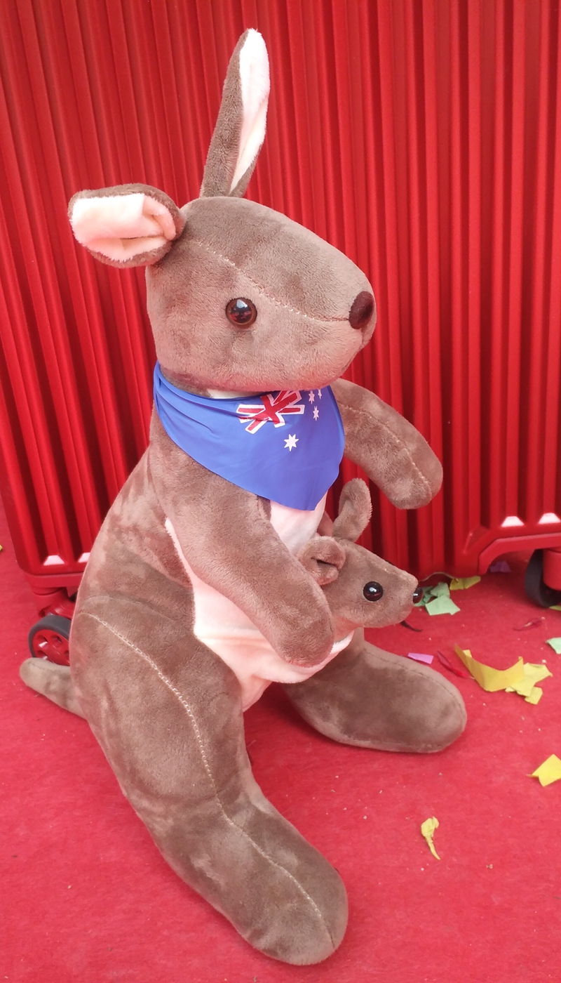 四川丹棱：今天我要给妈妈送一只袋鼠