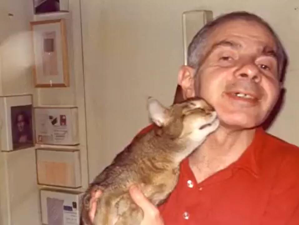 丁克家庭晚年现状,丁克家庭的去世无人知