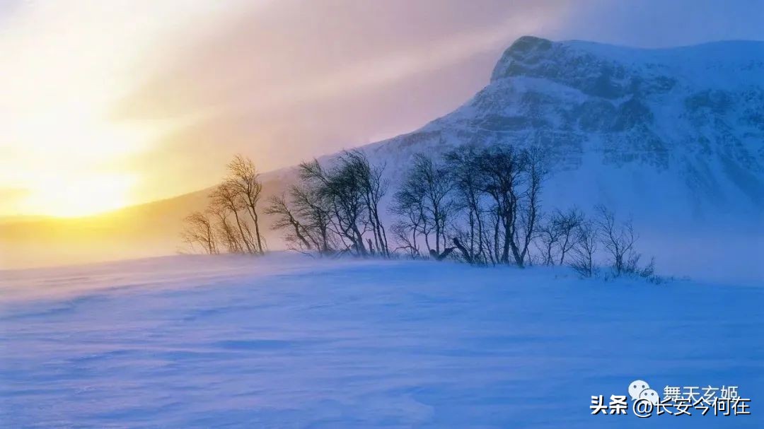 中医理论之天人合一,中医天人一体观