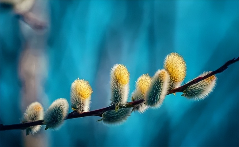 抖店冻结三十天自动解冻吗 (抖店商品发布违规如何处理)