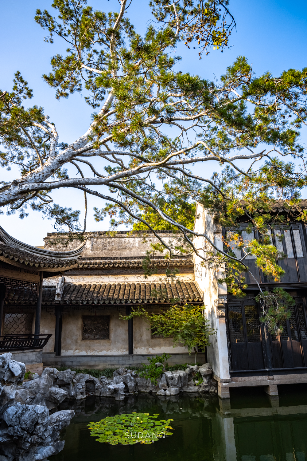 同里古镇为什么叫东方威尼斯,苏州水乡古镇同里