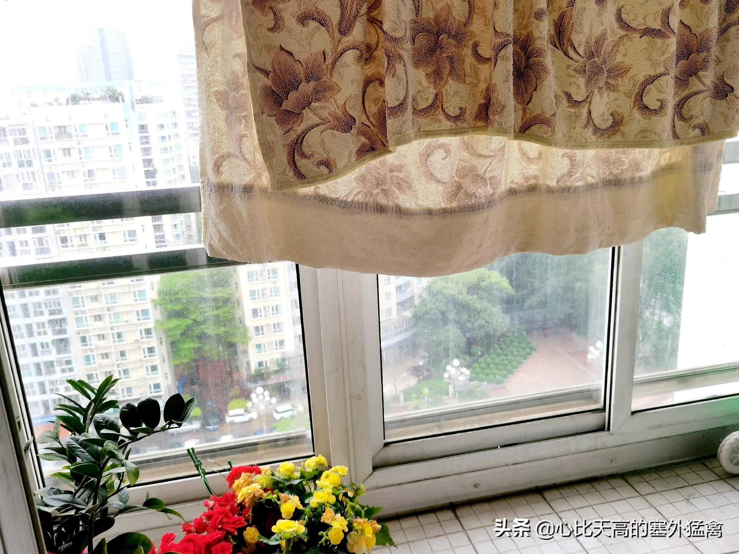 “回南天”驾到深圳，墙壁地面都流汗了，肿么办