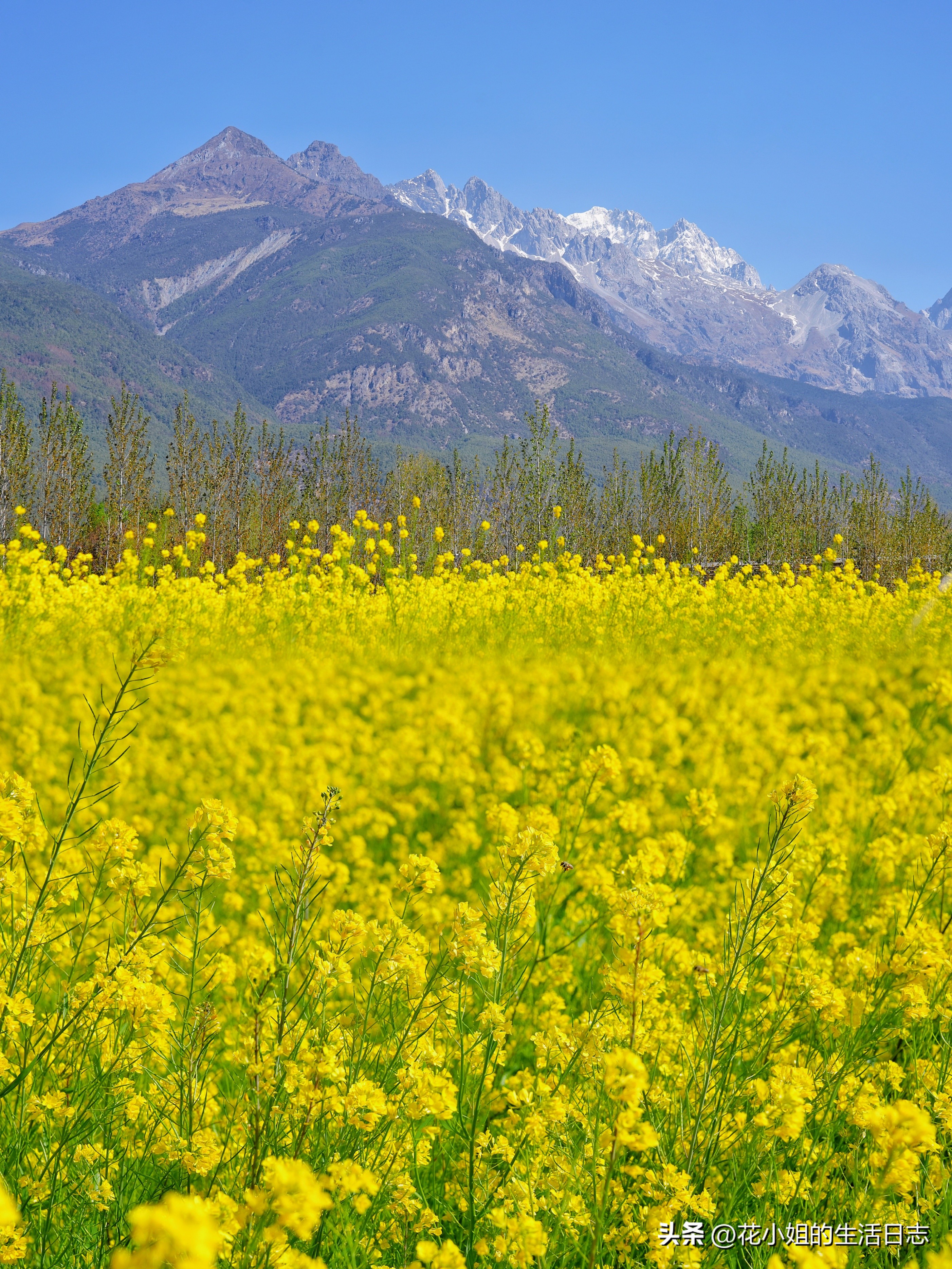 丽江束河古镇民宿价格表,丽江住一晚3000元的酒店