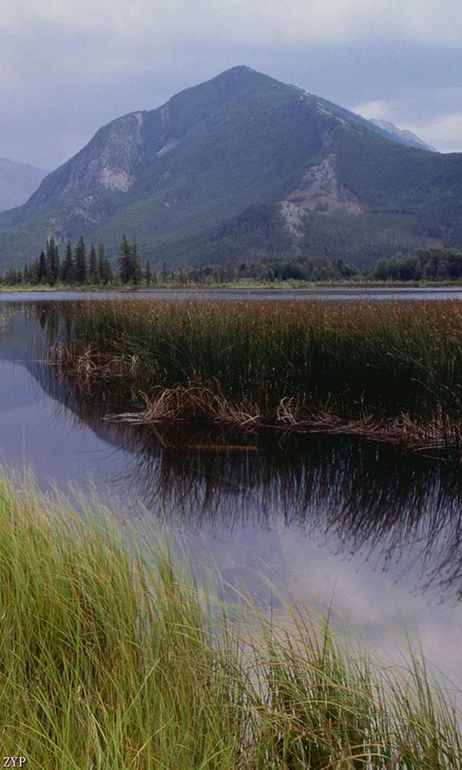 太美了100张人间美照,太美了最美中国红