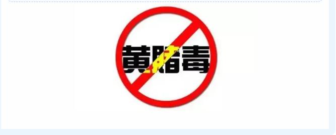 网警劫持域名,网警查域名流转情况