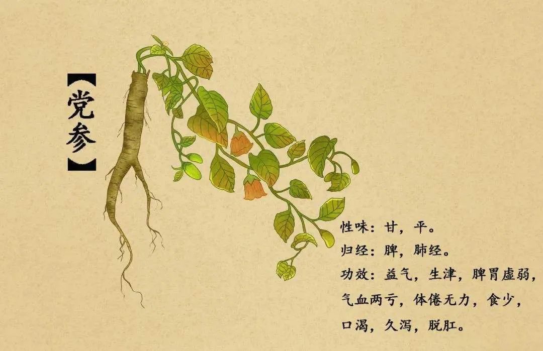 皮肤干不出油吃什么药,皮肤干暗黄不吸收如何改善