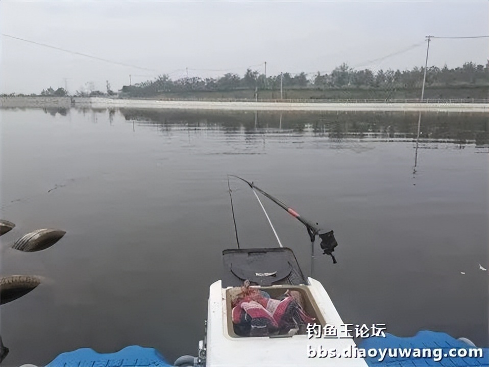 钓鱼王王者风范，拿捏多鱼种轻松