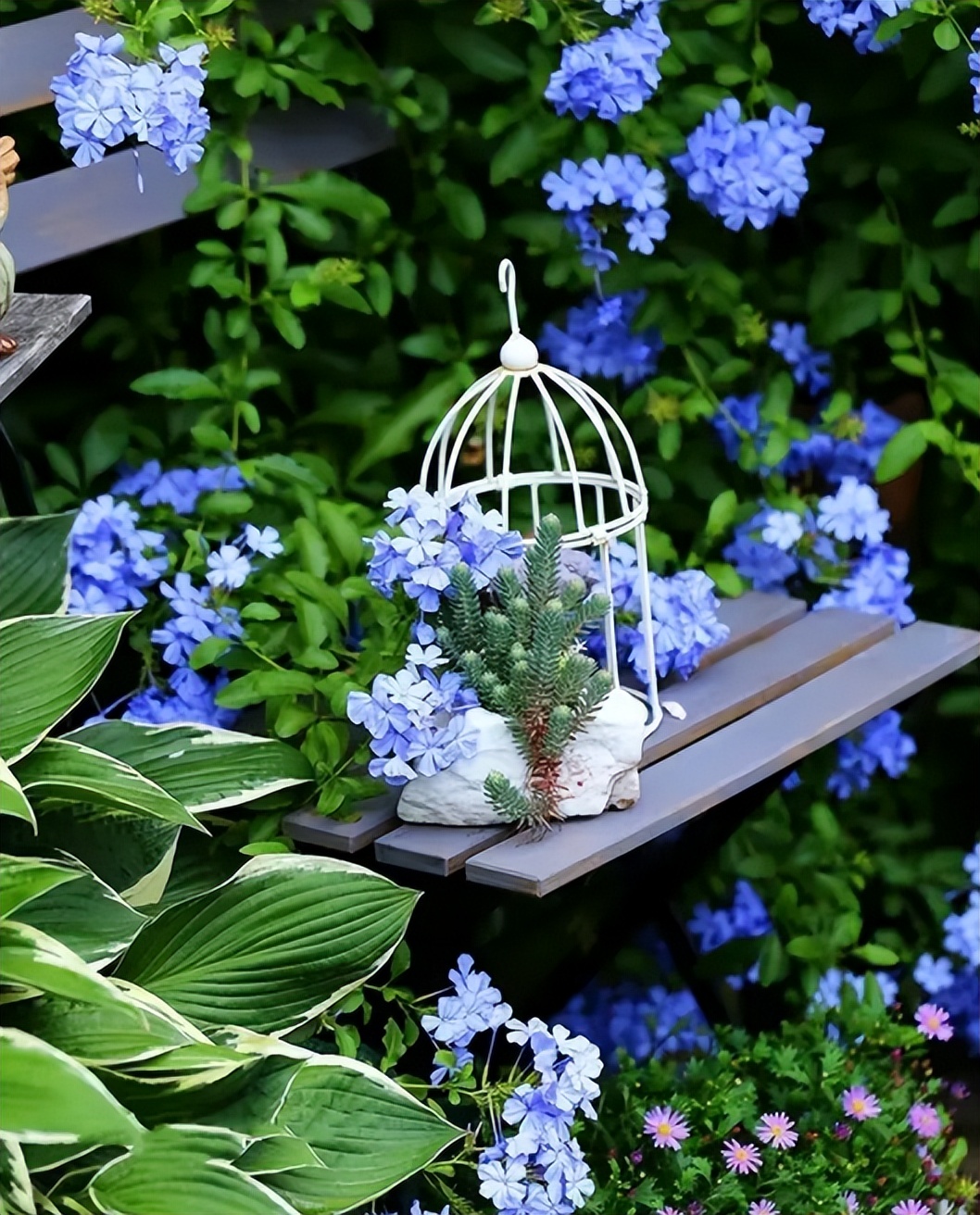 春回夏至秋到冬来的古人诗词,25首夏至诗词送你一夏清凉