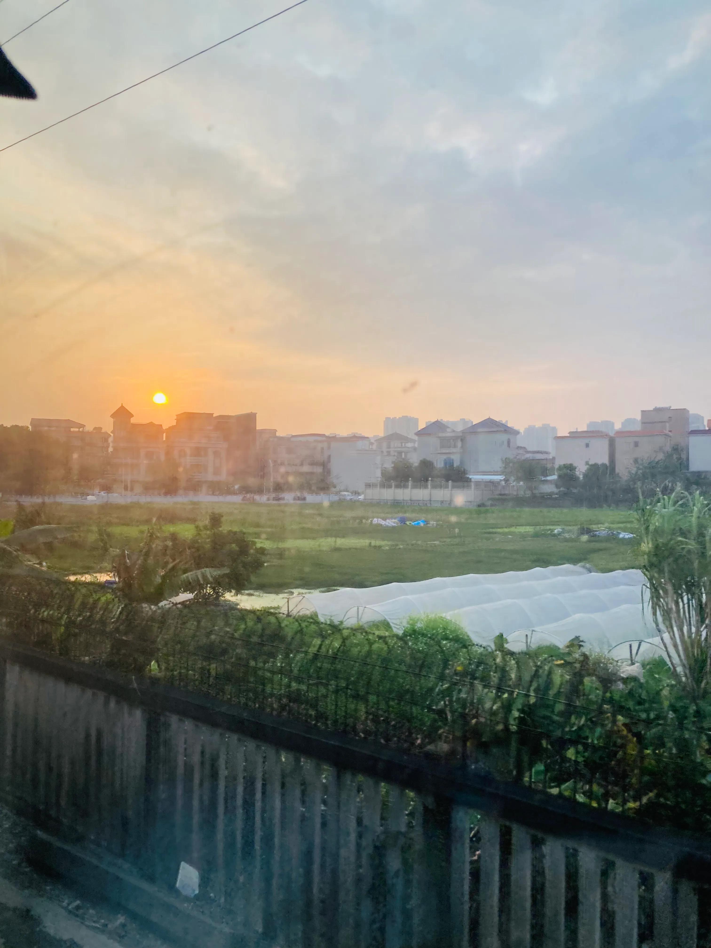 丁丁的第一次旅行心得感悟,丁丁的创业日记