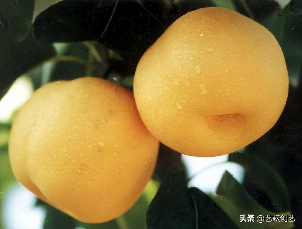 全国农产品产地分布图,甘肃省特色农产品有哪些