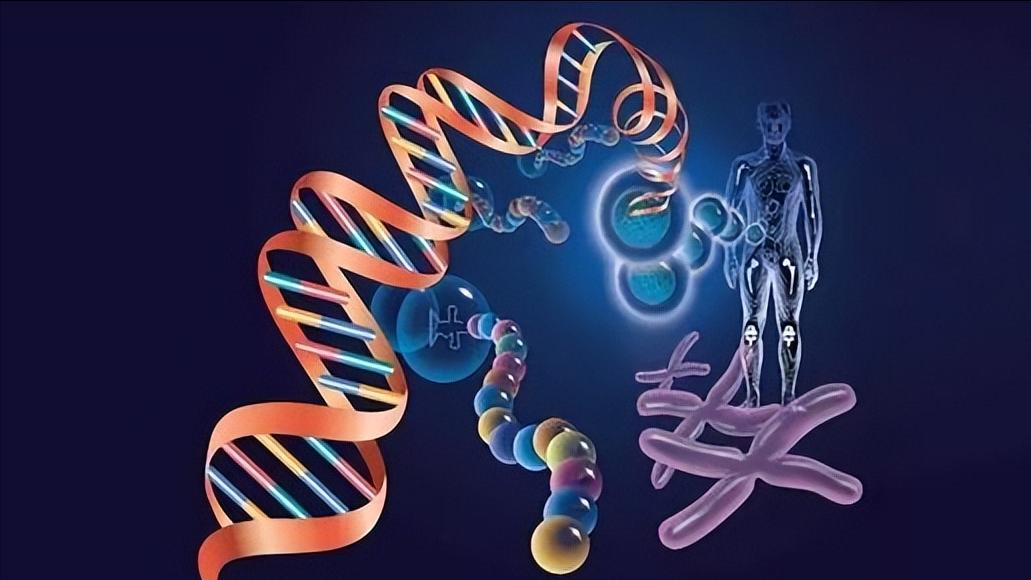 得了厌食症会越来越瘦吗,神经性厌食症减肥视频