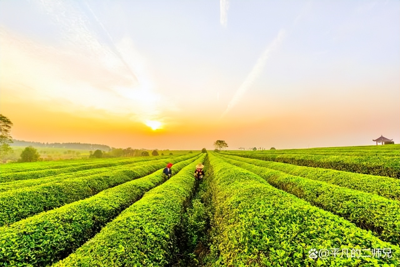 南昌湾里最值得去的景点有哪些,南昌适合小孩子玩的免门票景点