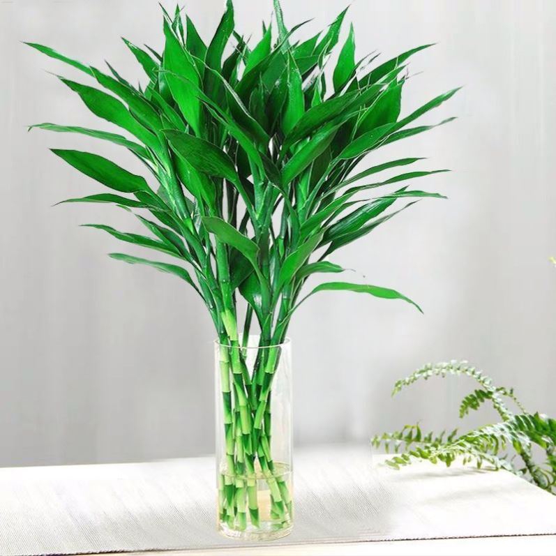 百花齐放春意浓群芳争艳,百花齐放喜迎新春