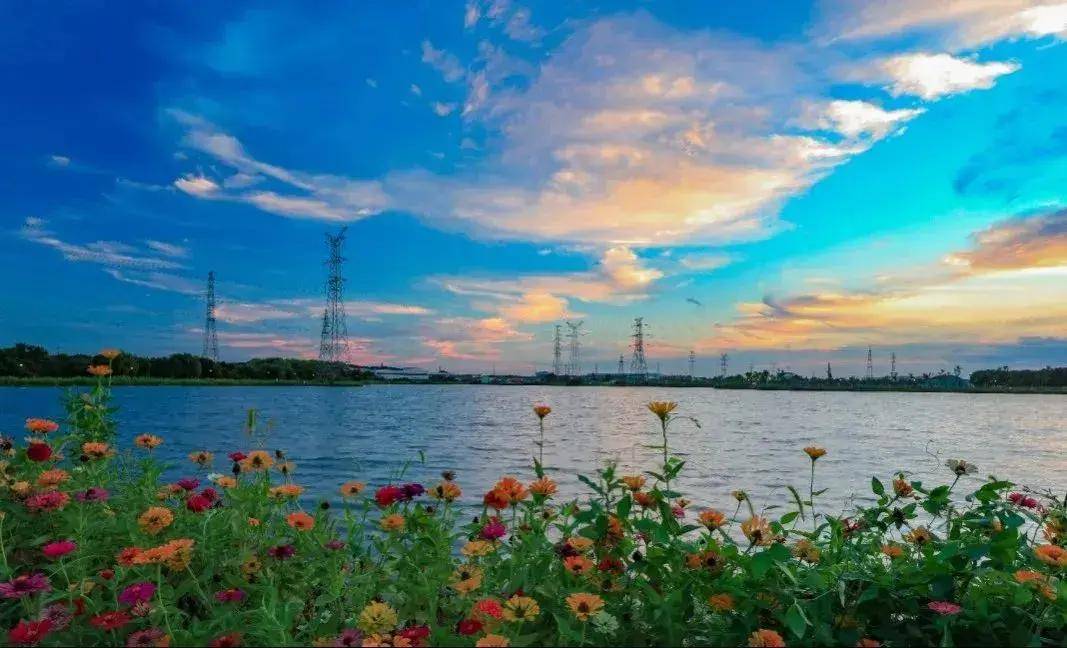 江苏常州旅游世外桃源,来常州天宁区玩的攻略