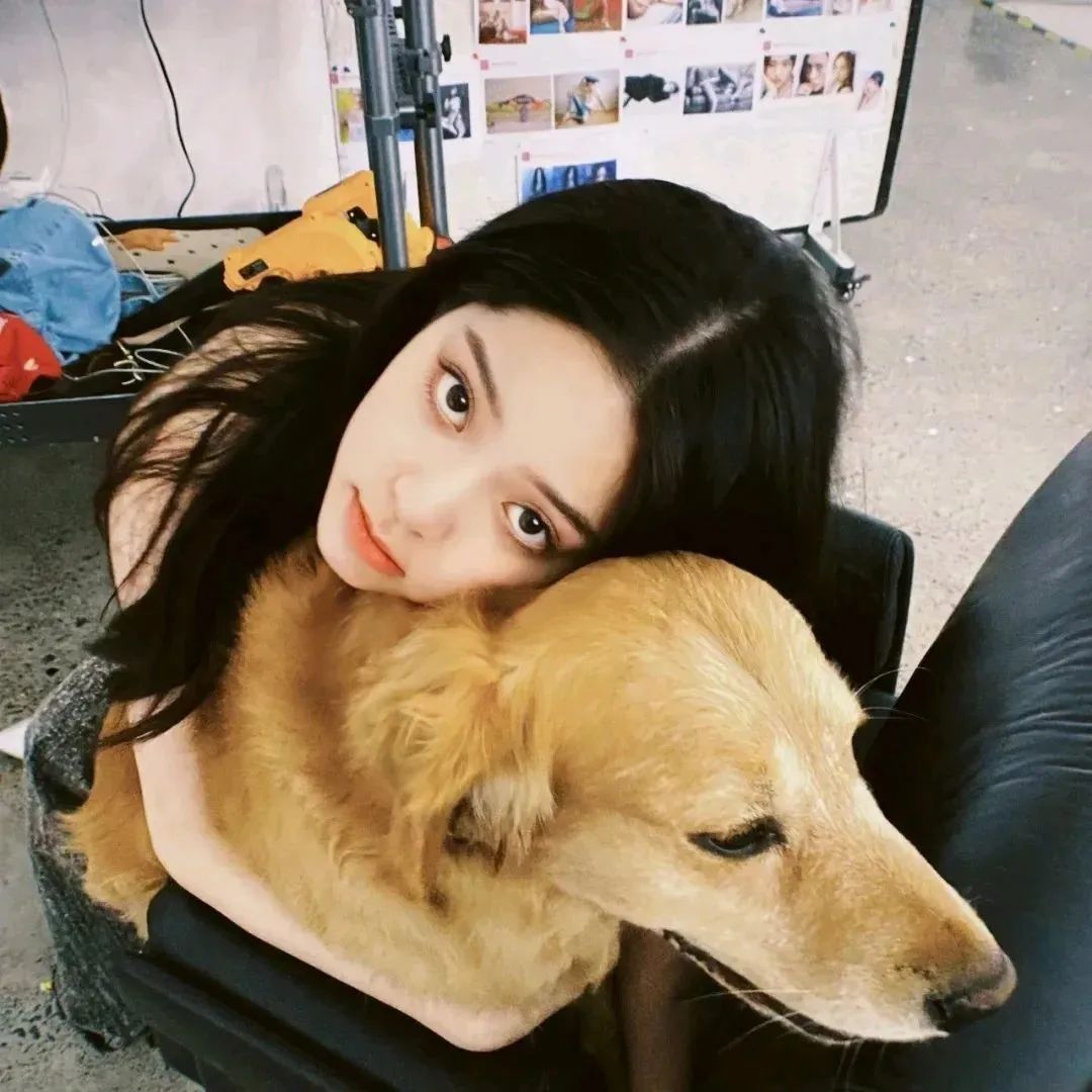 头像高级小众男士用,头像高级小众动漫女