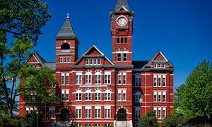 企业文化和员工关系,企业文化与企业管理的关系