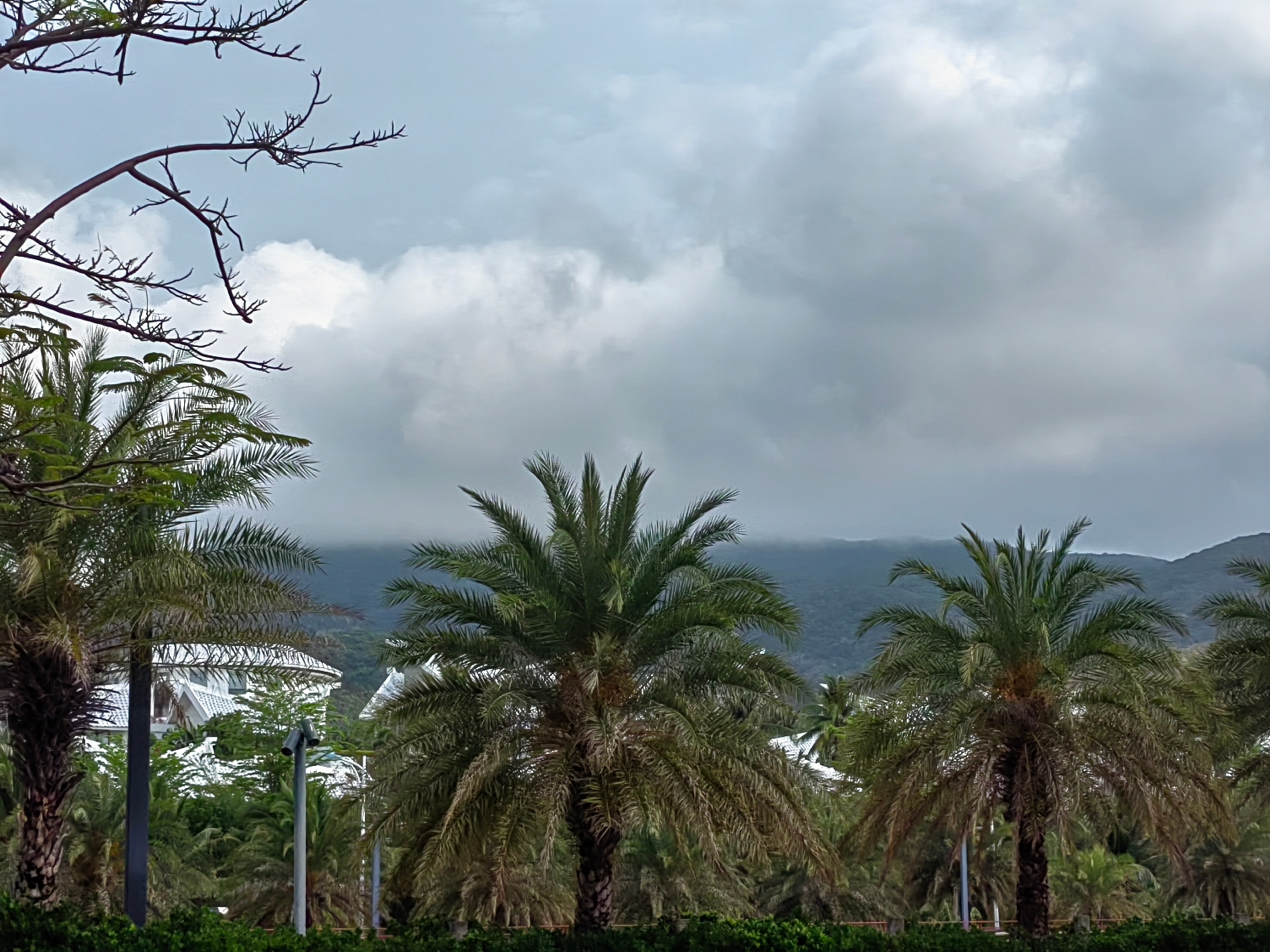 海南自驾环岛游攻略三亚出发,成都自驾海南环岛攻略路线