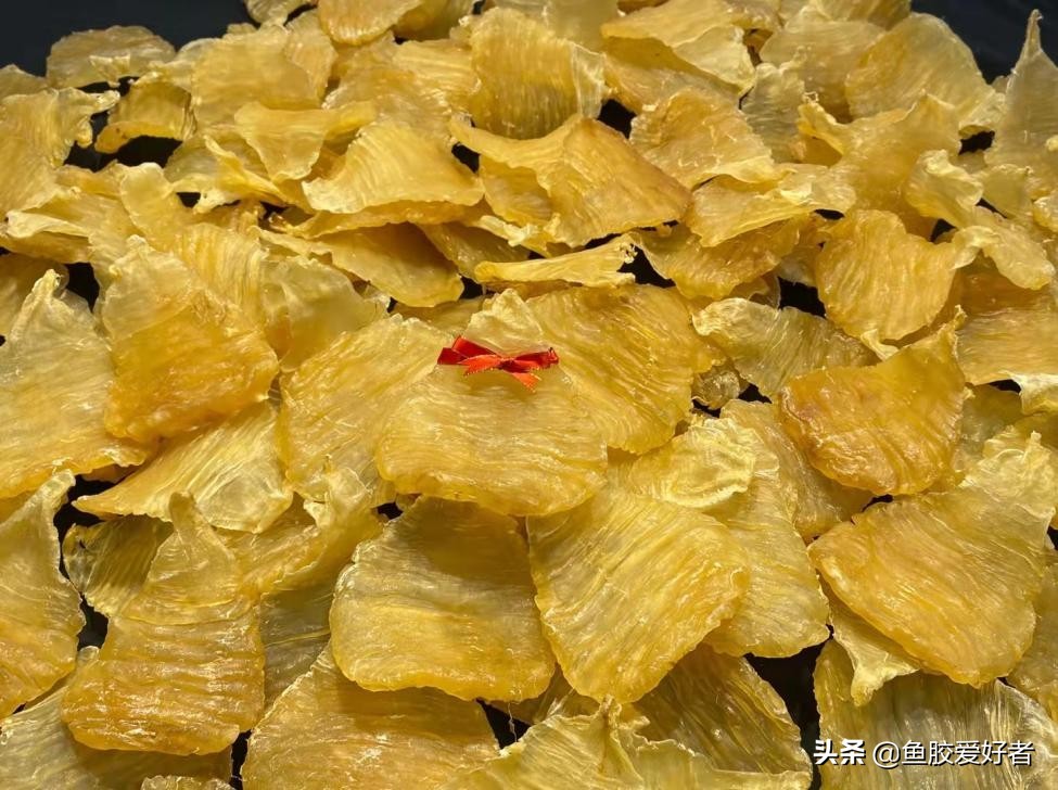 购买鱼胶之前这些常识你必须看看,鱼胶正确的选择方法是什么