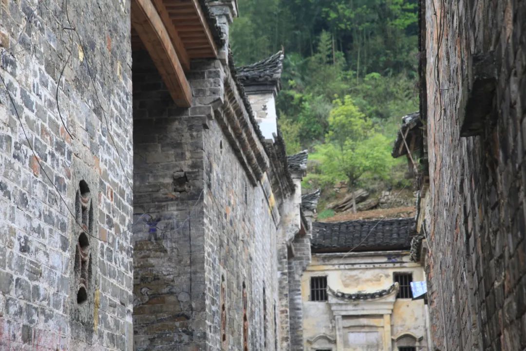 跟着chatgpt学习,跟着chatGPT学知识