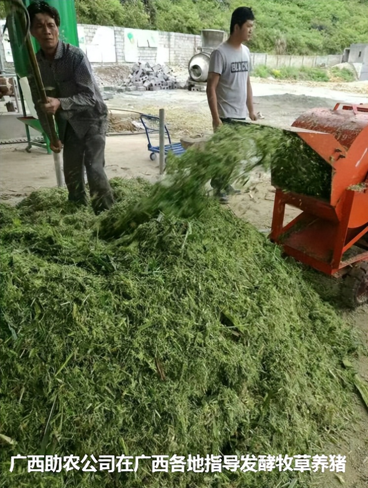 加强型活力99生酵剂—以高浓度乳酸菌，更好用的专业益生菌发酵剂