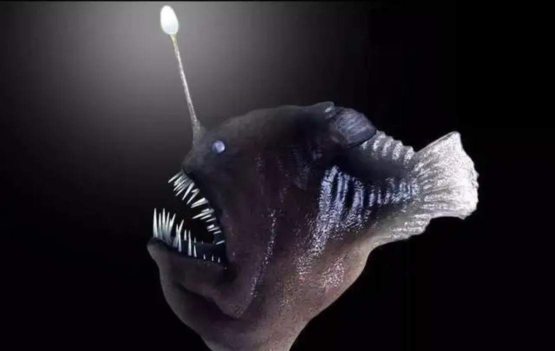 萤火虫靠什么发光是呼吸作用吗,为什么萤火虫会发射光