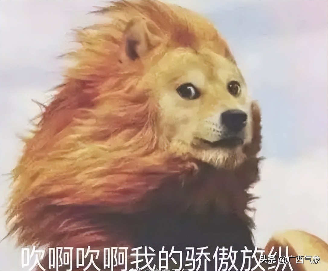 天气预报台风登陆广西,广西气象发布大风黄色预警