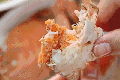 秦皇岛海鲜大比拼,秦皇岛一年四季的时令海鲜表