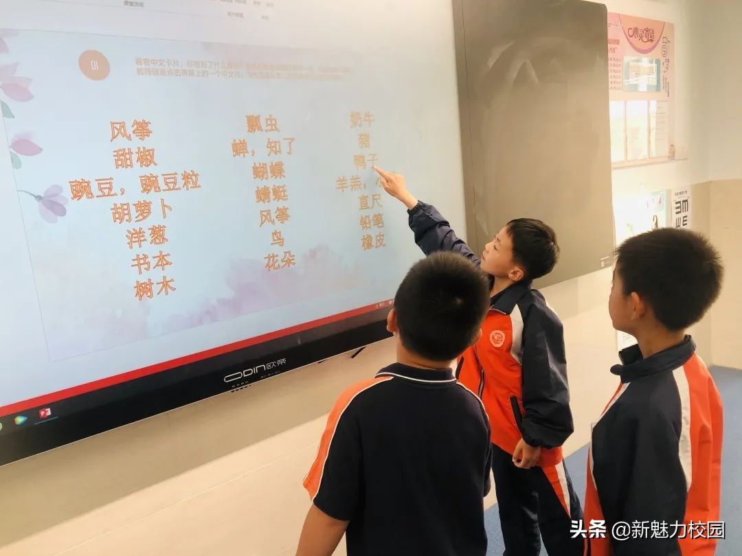 软件谷第二小学怎么样,软件谷二小多少个班