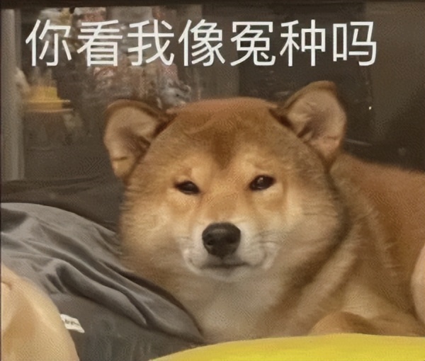 美妆大牌圣诞单品,2022美妆圣诞日历