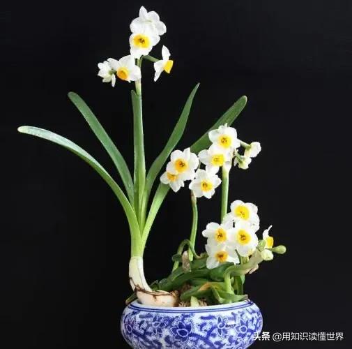 朱光潜的咬文嚼字典故,咬文嚼字全文详解