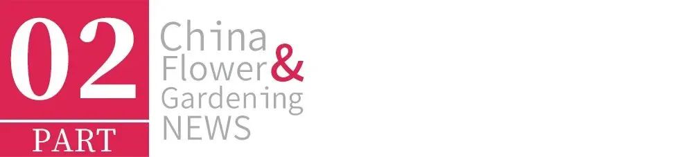 绿化养护多久一次最好,日本人绿化养护