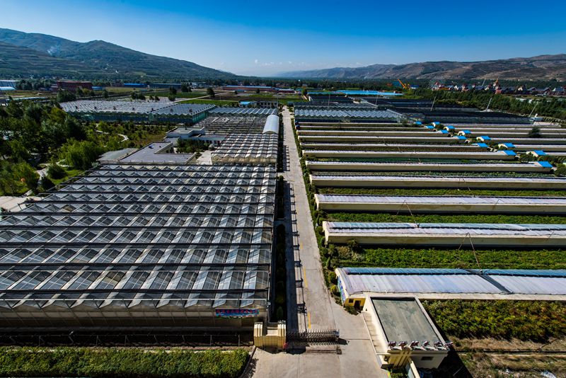 青海互助:“彩虹之乡”的民族团结故事