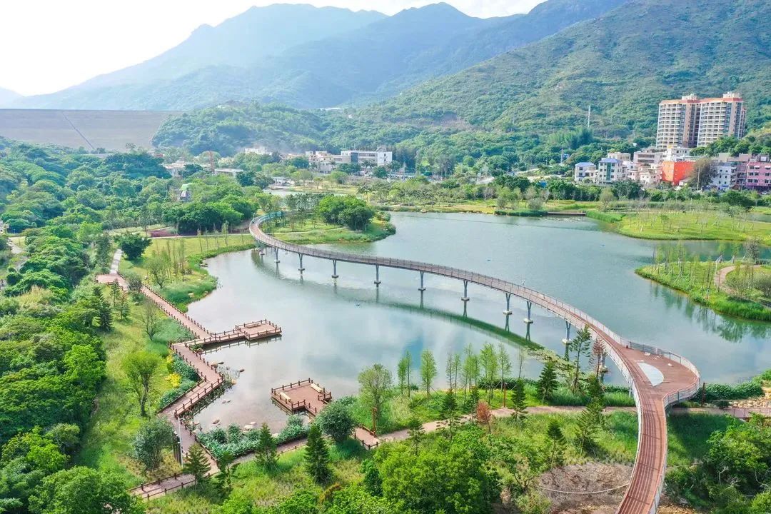 深圳最全红树林公园指南,深圳市最出名红树林湿地公园