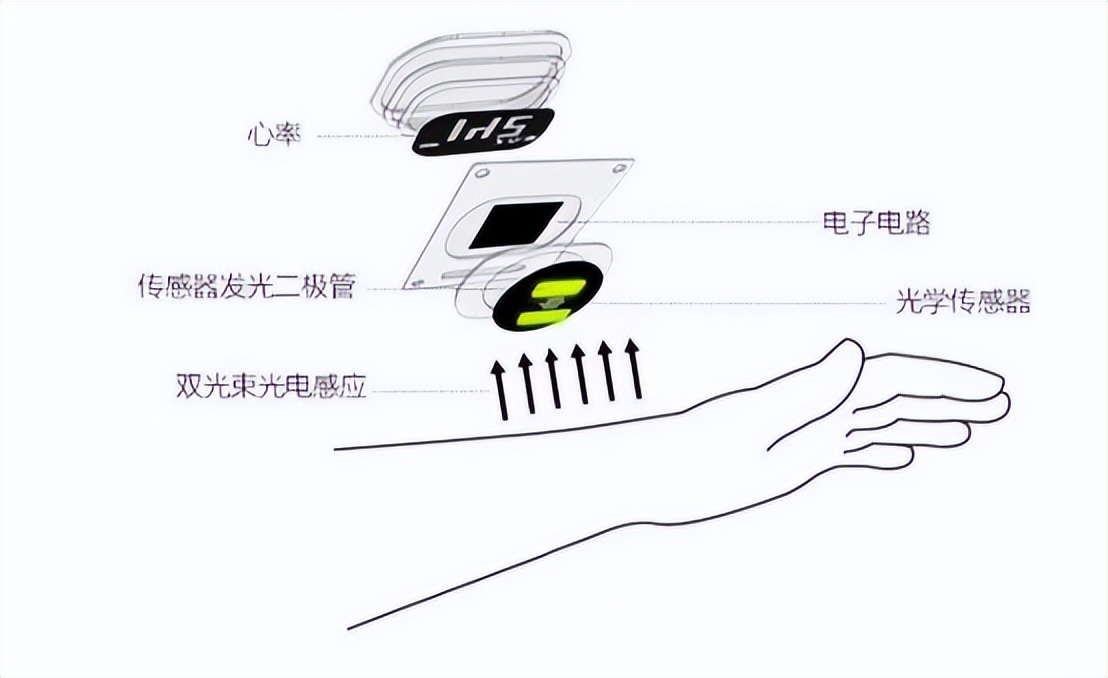 点燃全名体育热中的运动传感器有哪些类型？